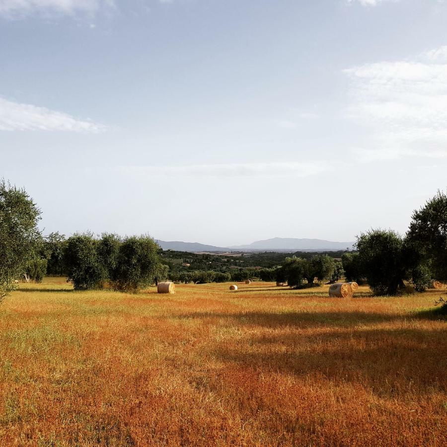 B&B Il Glicine Montefollonico ภายนอก รูปภาพ