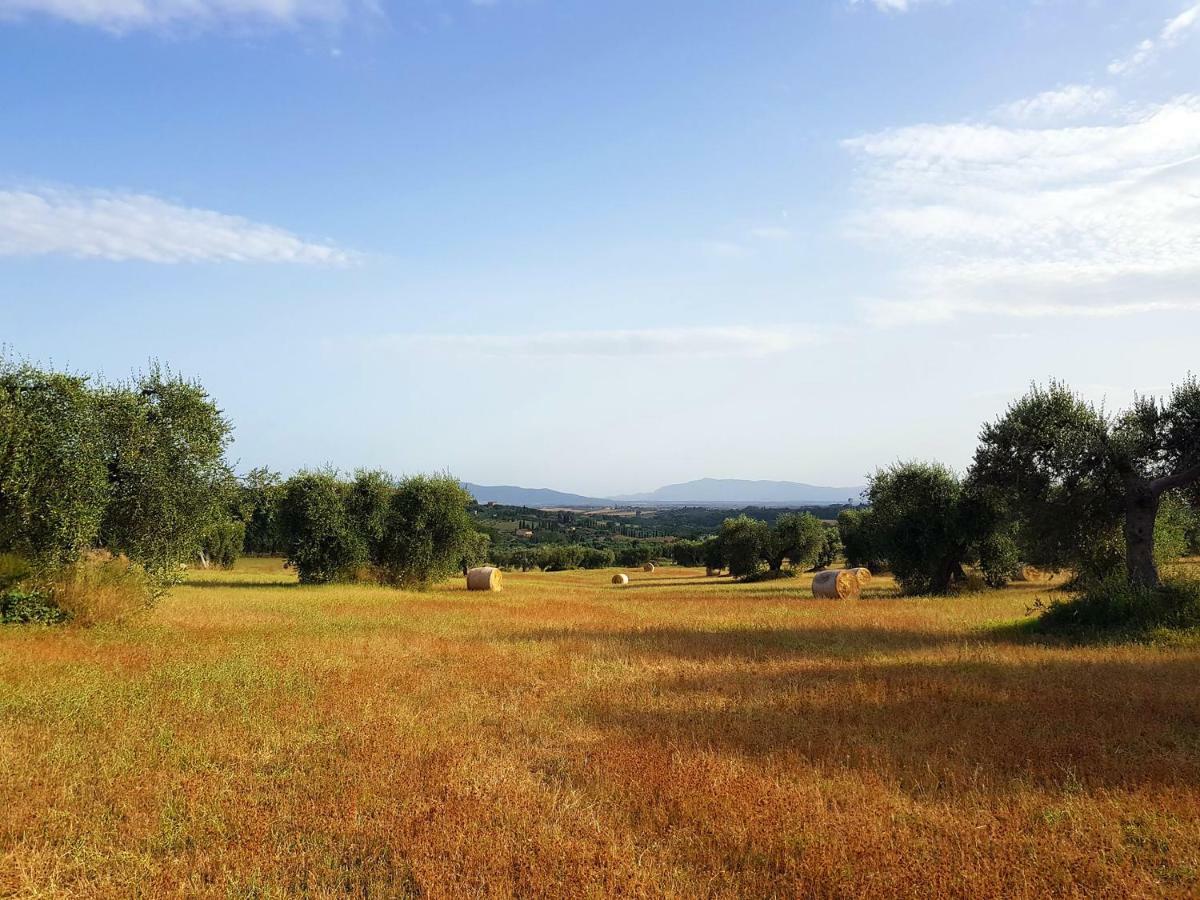 B&B Il Glicine Montefollonico ภายนอก รูปภาพ